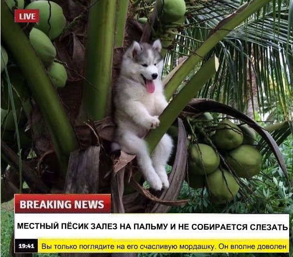 Новости которые я заслужил!