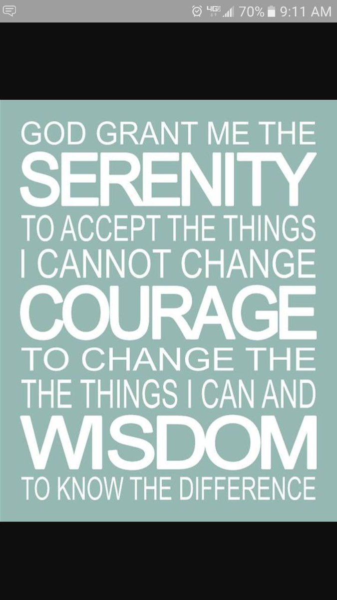 WhitneyHoekstra's tweet photo. 🙌🙌🙌🙌🙌 https://t.co/wIcGWeSxnn