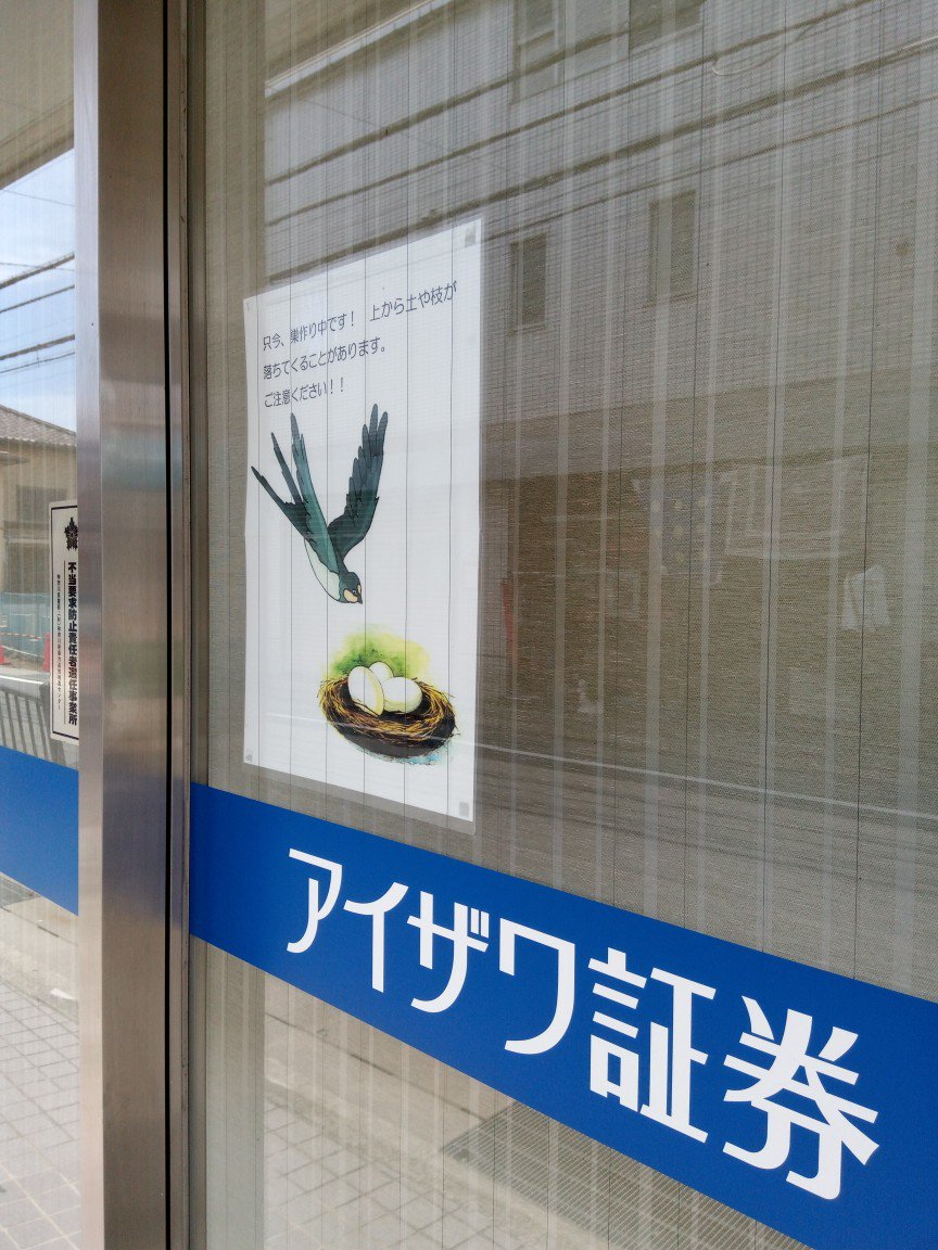at_LeafCafe's tweet photo. 鎌倉駅付近でツバメの巣を見つけました！お店さんの優しい配慮が素敵ですね♪
#鎌倉 #七里ヶ浜 #江���電 #ツバメ　#ツバメの巣　#kamakura #七里ガ浜　#leafcafe #燕　#鎌倉駅　#巣立ち　#japan #swallow　　#stayathome　#japon https://t.co/wJrAPeynIq