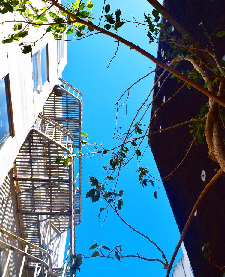 SFSHousing tweet picture