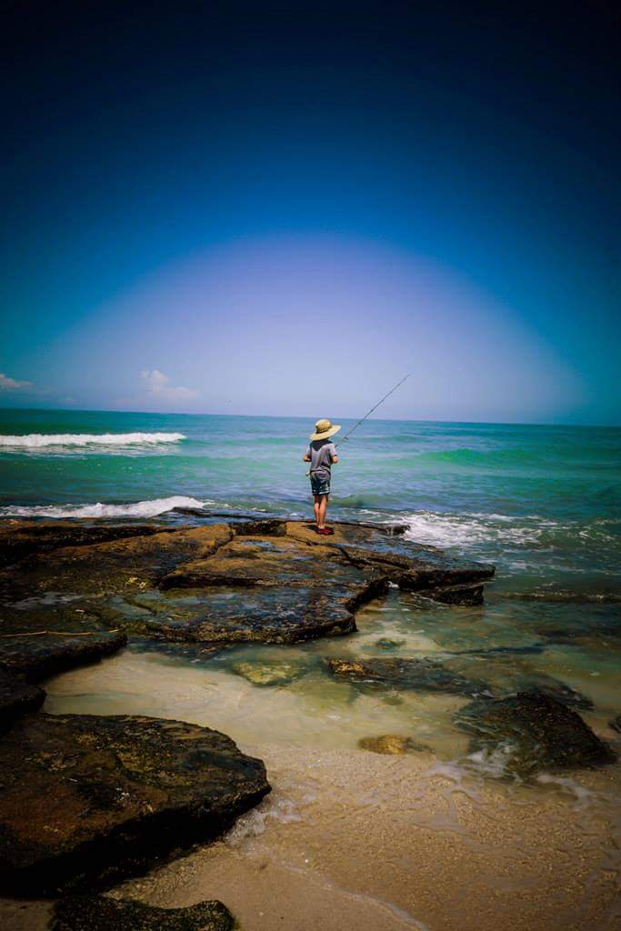 turman76's tweet photo. #pointorock #siestakeys #beach #florida https://t.co/FtwfXoFSQh