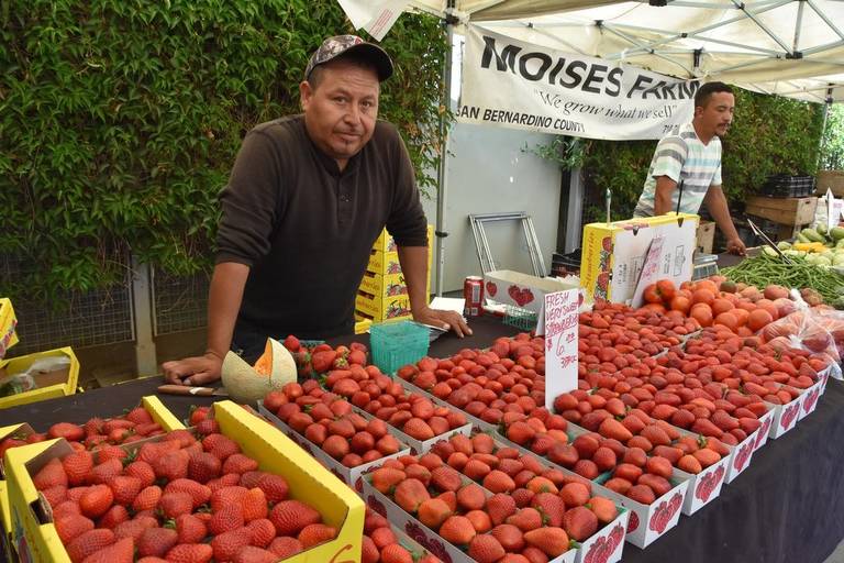 Eisner_Health's tweet photo. We are getting some great press regarding our Fruits & Veggies ("FVRx") program with @wholesomewave and @Target! #EisnerHealth #FVRx #Target https://t.co/sHhfcOnG6f