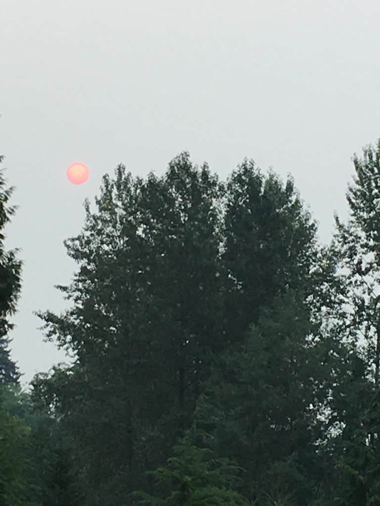 Sun this morning in Vancouver with all the smoke in the air