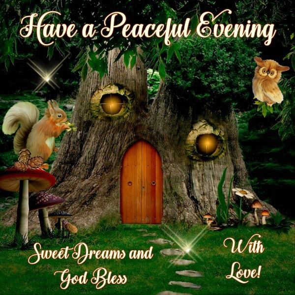 HisCornerstone1's tweet photo. Good Night Everyone, God Bless You!! https://t.co/vzsXYX069v
