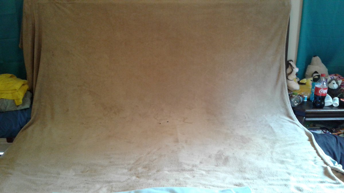 FluidMotionPic's tweet photo. Today has been an successful photography day in my small animal temporary studio.. Just my blanket pinned to the wall covering headboard https://t.co/OOa987kgOb