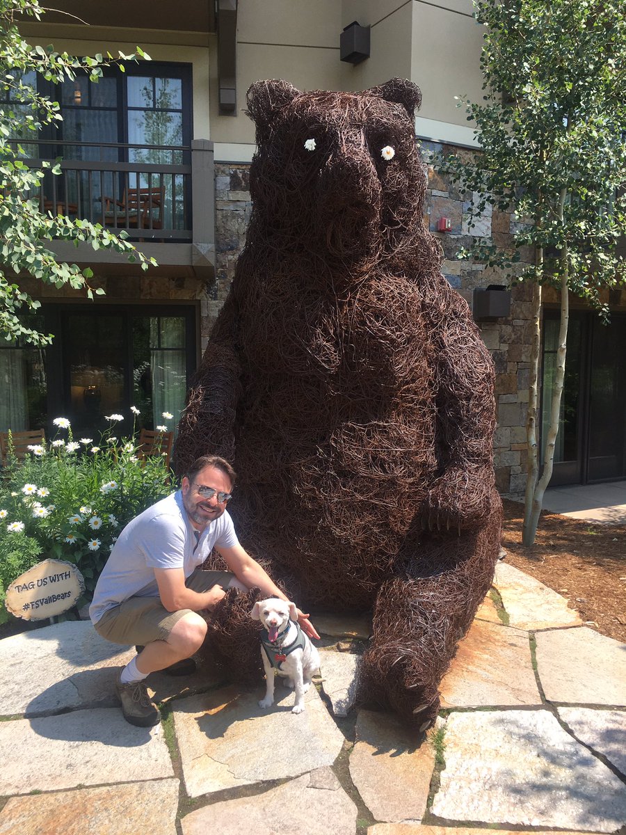 Wuhpappels's tweet photo. #fsvailbears
Mr. Bear didn't even blink in any of the photos!  
#TotalProfessional 
#RescueDogsLoveVail https://t.co/vCminU7zy8