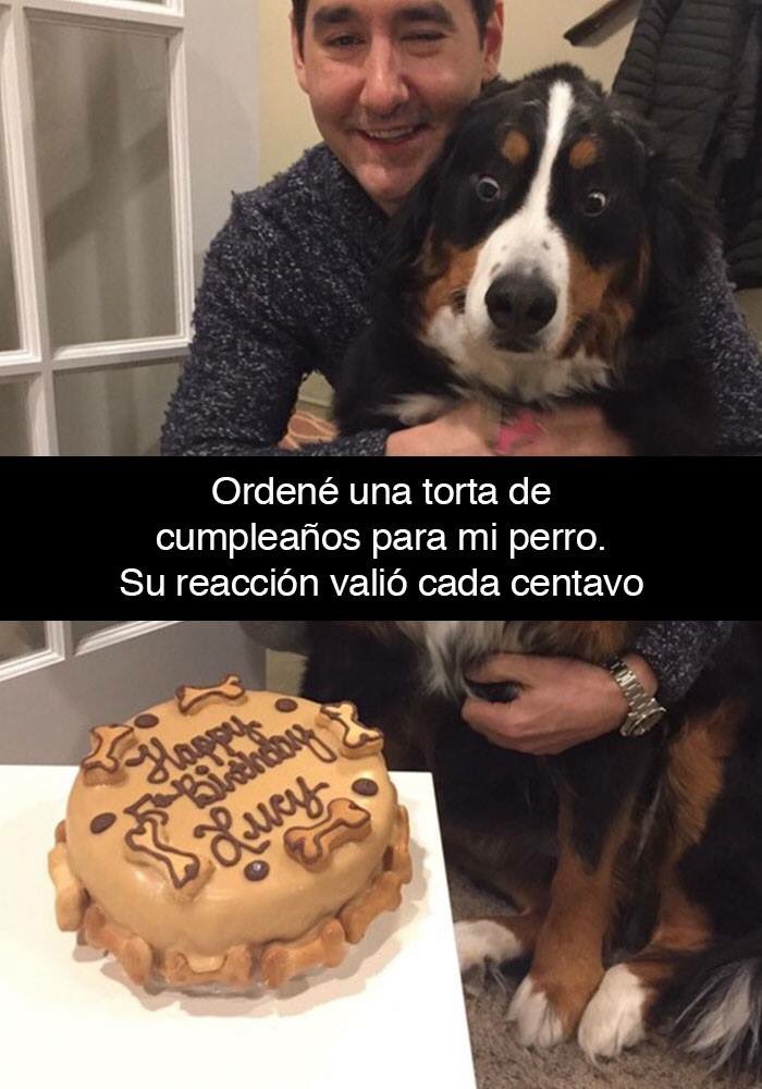 Flantasma1's tweet photo. y todavía hay gente que los maltrata https://t.co/nwRpqnRL8Y