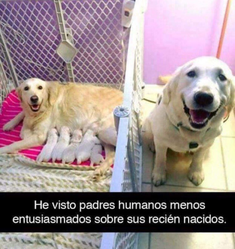 y todavía hay gente que los maltrata