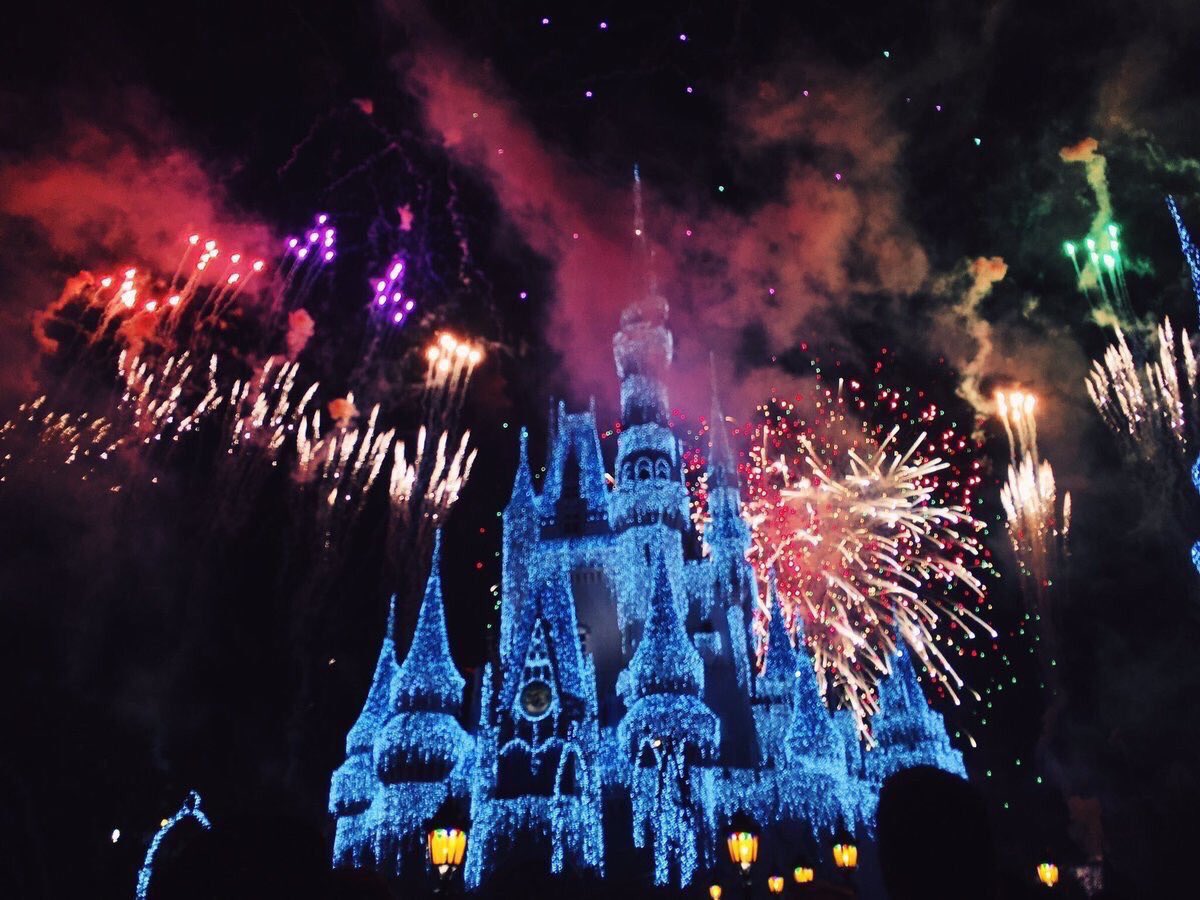 FuntimeFans's tweet photo. Where dreams come true✨ https://t.co/wQ9FTMHMkF