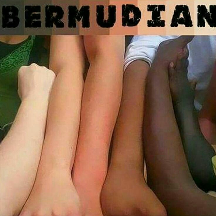 lcby's tweet photo. @Bermuda #Cupmatch2017 https://t.co/xygaYZkwFp