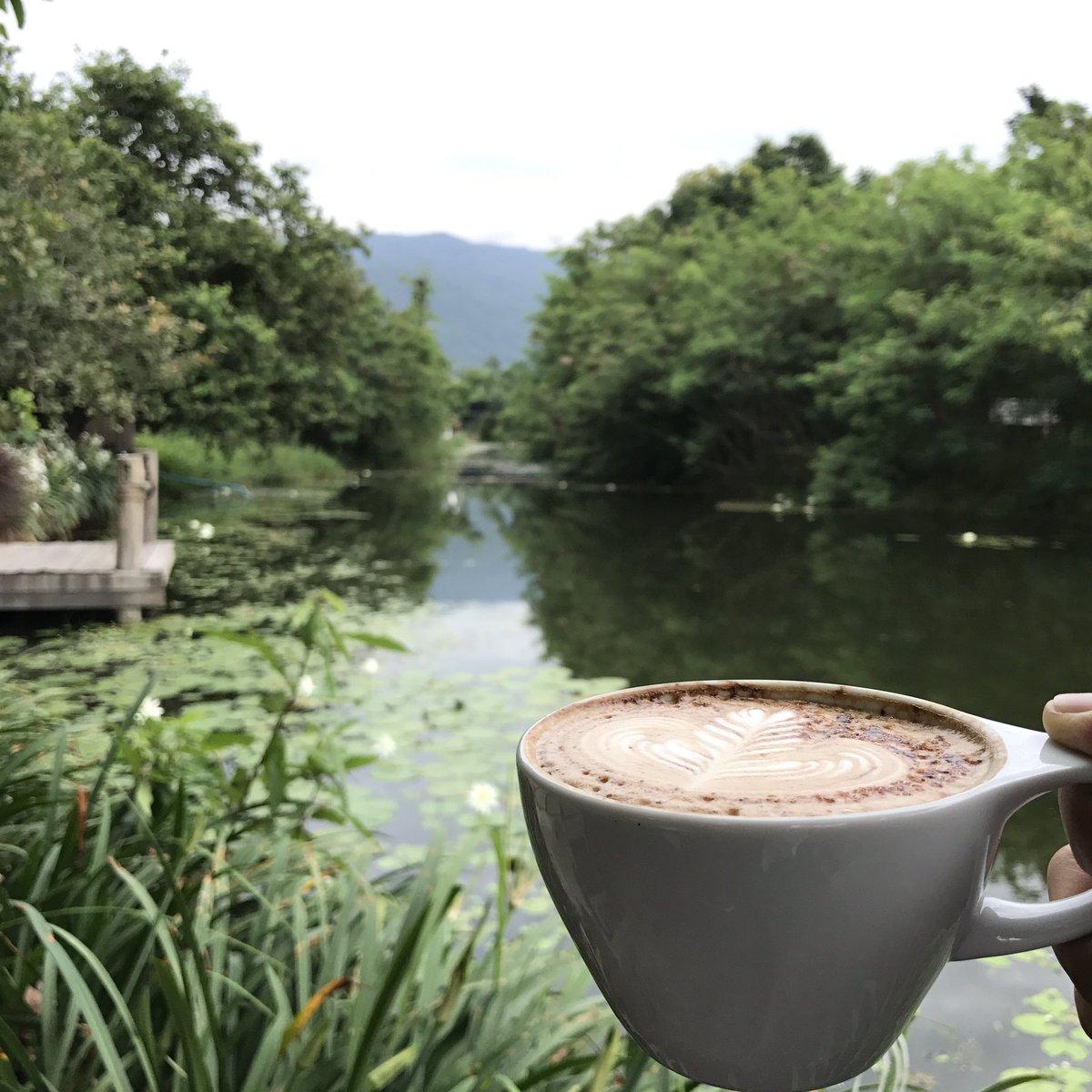 jacky_bunjerd's tweet photo. ☕️กาแฟหลักสิบ 🍃วิวหลักล้าน #jackystyle #firsttrail #marathon #42k #CM6 @aroii #reviewaroii #reviewchiangmai #coffee #อร่อยบอกต่อ https://t.co/ecdBnQXXjc