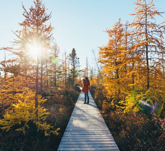 mindbodygreen's tweet photo. 8 Reasons Time Spent Alone Is the Greatest Gift You Can Give Yourself #selflove https://t.co/r7UfJr3ZN9 https://t.co/PKKhyh7lxb