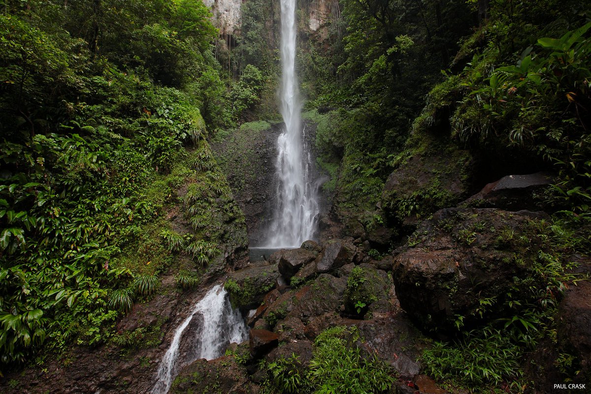 The Middleham Falls trail is an awesome half-day rainforest hike #Dominica #Caribbean #travel facebook.com/HikeIntoDomini…