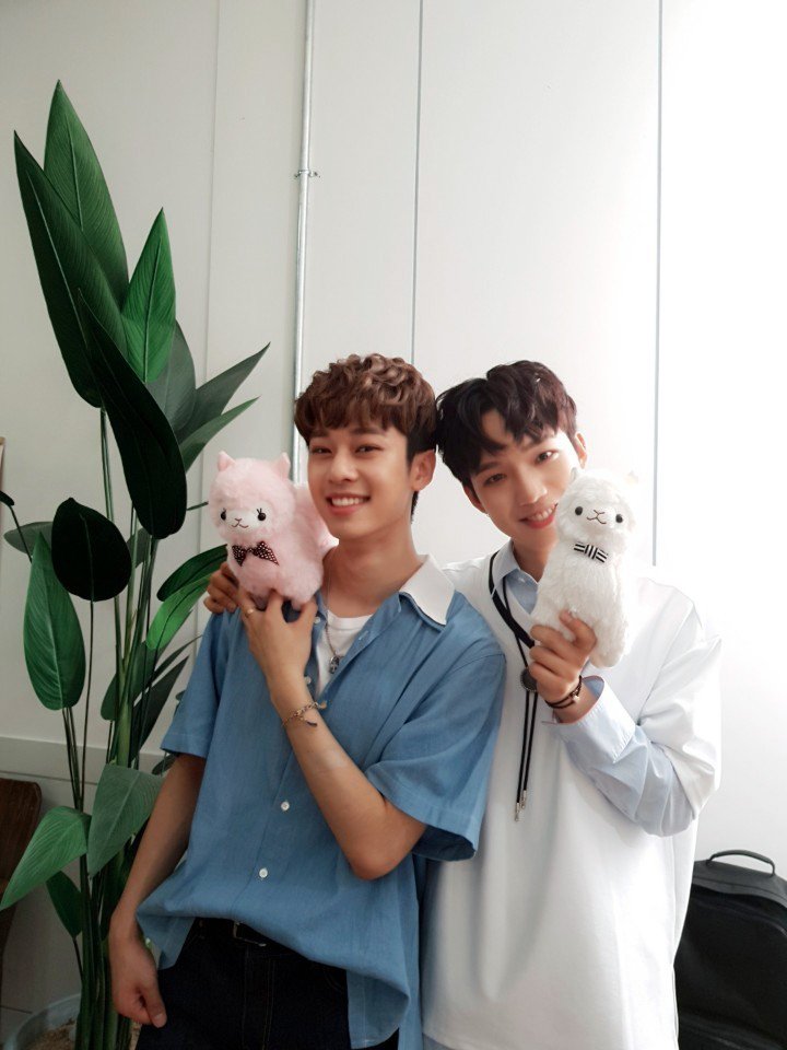 bnmboysofficial's tweet photo. [MXM/임영민X김동현] 'GOOD DAY' 세로라이브 영상 모두들 보셨나요??

너무나 귀여웠던 알파카 인형과 함께🐏🐑

#브랜뉴뮤직 #브랜뉴보이즈 #MXM #임영민 #김동현 https://t.co/VW9mqrEnGe