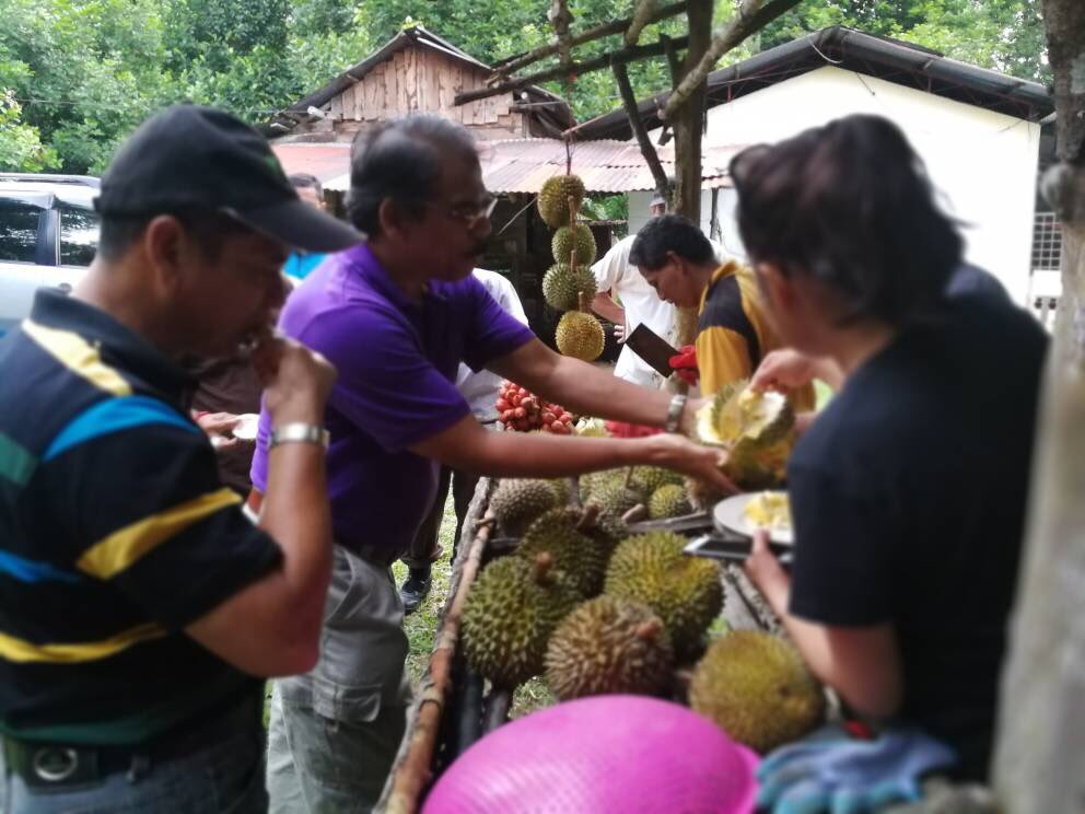 jabarsm's tweet photo. Alhamdulillah harga durian kampong di Langkawi, harga ladang pun antara RM8 ke RM12/kg...petani dpt harga baik https://t.co/La0jQHk2Oy
