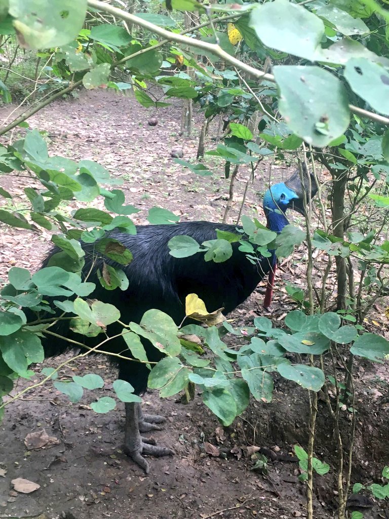 AGSWChallenge17's tweet photo. Amazing to see such beautiful creatures but sad at the same time, knowing the awful places they have been rescued from! https://t.co/E10nP0yOLR