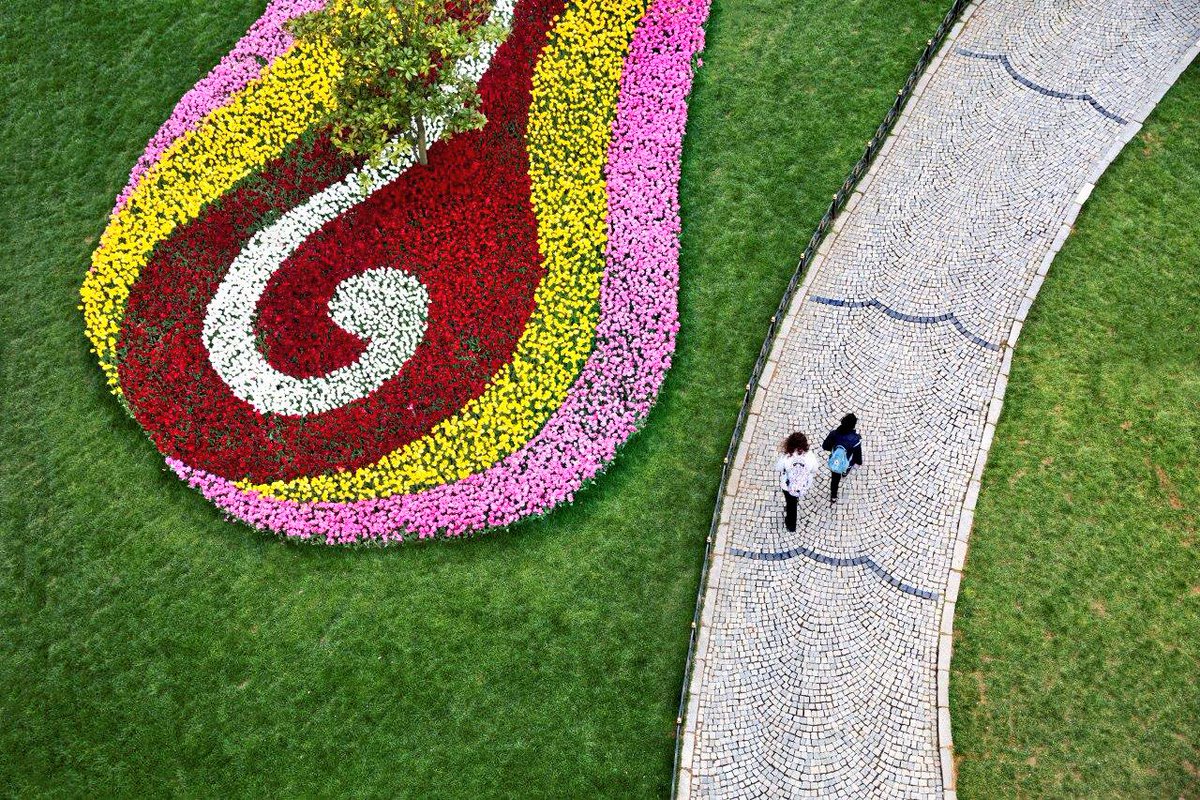 Emirgan Korusu'nda güzel bir yürüyüş keyifli bir haftasonu demek. Mutlu haftasonları. 🍃 #Cumartesi #happyweekend #saturday