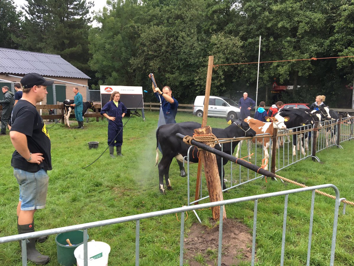 We zijn begonnen met de 41e Boerendag in Rijsbergen #Boerendag #Rijsbergen