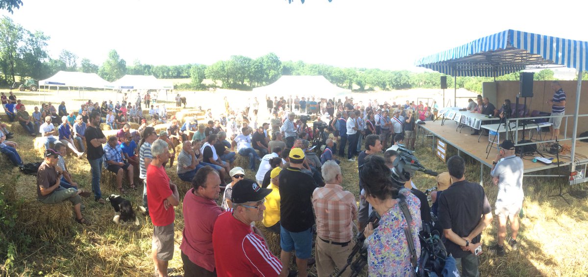 FDSEA12's tweet photo. 3000 brebis et un paquet d'éleveurs rassemblés contre le loup. La prédation est insupportable en Aveyron comme partout. https://t.co/jBwVFeJrmp