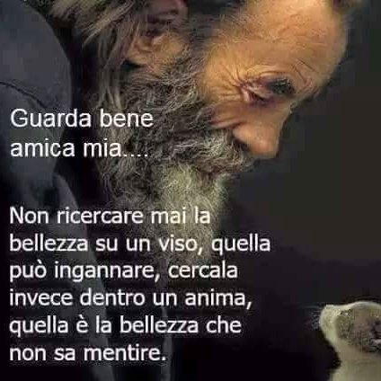 giovanni mingardi (@giovannimingar1) on Twitter photo 