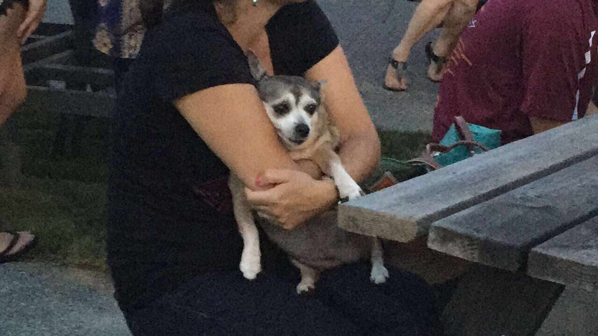 g4rudamon's tweet photo. @oldctyrvl and @CrashLandingOFF are good and all but this pup is what made tonight absolutely amazing https://t.co/gfshnCiYQf