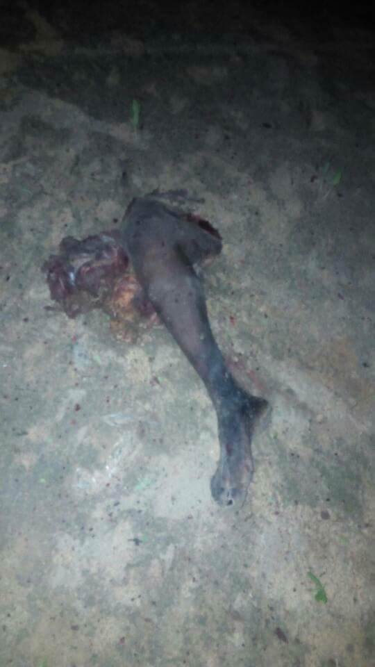 DanBorno's tweet photo. VIEWER DISCRETION: Pictures of a lone suicide bomber at #Simari in #Maiduguri #Borno -2 #CivilianJTFs sustained injuries else no casulaty https://t.co/tI2qfH3cLy