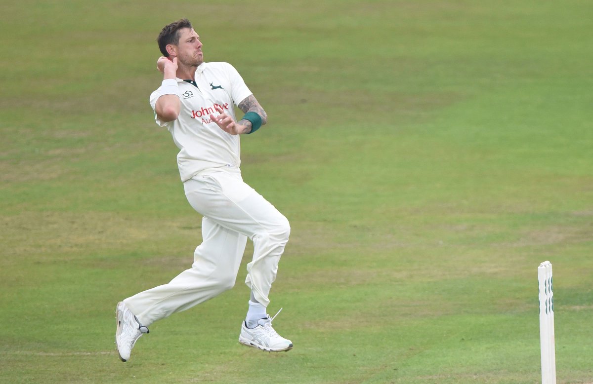 cricket.com.au tweet media