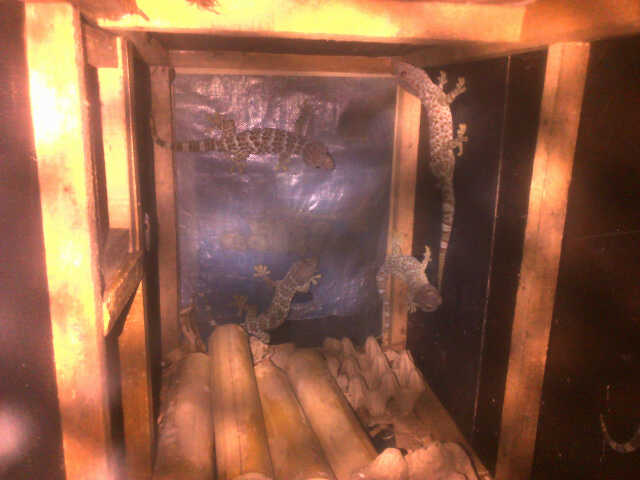 afandi_sherm (@affandi_sherm) on Twitter photo 