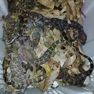 afandi_sherm (@affandi_sherm) on Twitter photo 