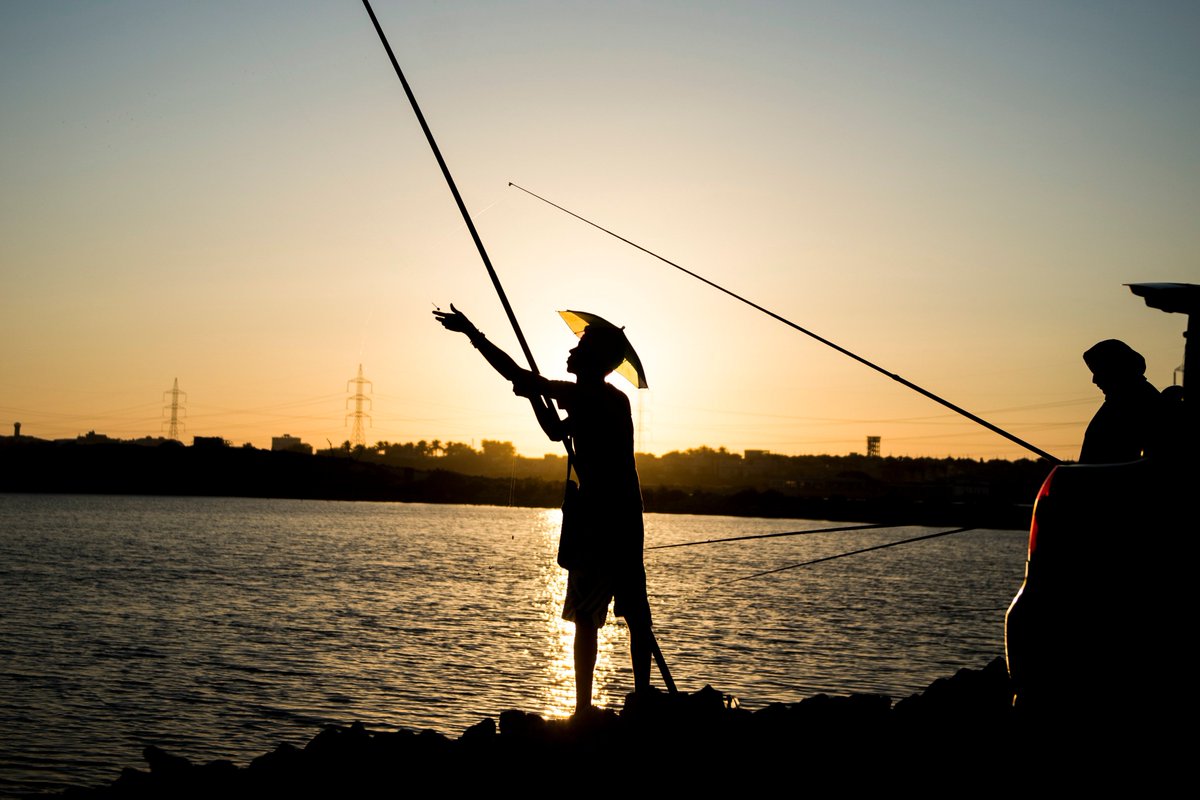 kyriakichristo's tweet photo. Gone fishing? #Mariout Lake, on the North Coast, #Alexandria, #Egypt
pics @epaphotos /MOHAMED HOSSAM https://t.co/uOp1oSC2WW