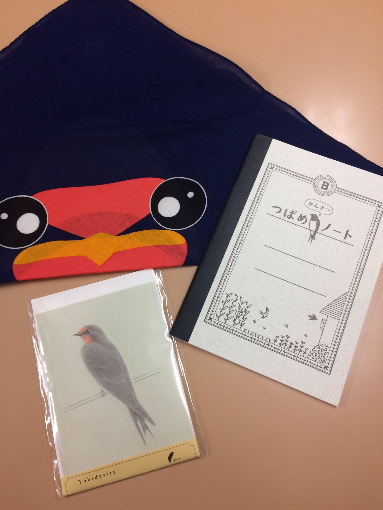 長ぐつくん 日本野鳥の会の長ぐつくんです 全国各地でツバメのねぐらが観察されていますね バードショップには ツバメグッズもございます T Co Quqq999uab Twitter