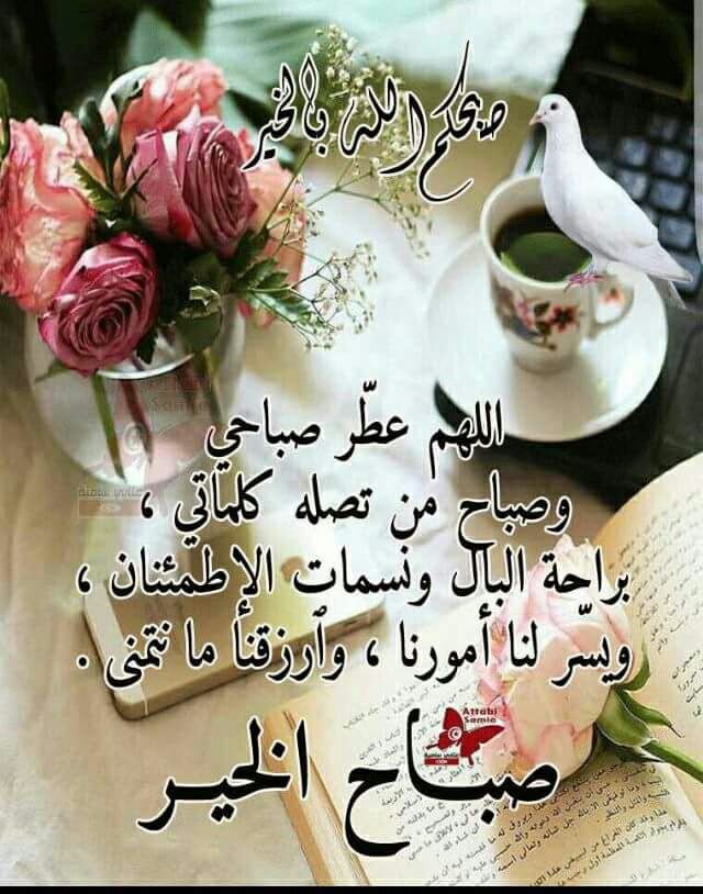 IMo6UIpYAzqHeuy's tweet photo. اللهم 
لا تجعنلي ممن يرى في الذنوب فخرآ

  ويجاهد بها 

ويرى في الطاعة عيبآ
 فلا يقوم بها

صباحكم فللل ⚘⚘ https://t.co/fJY2RSF94m