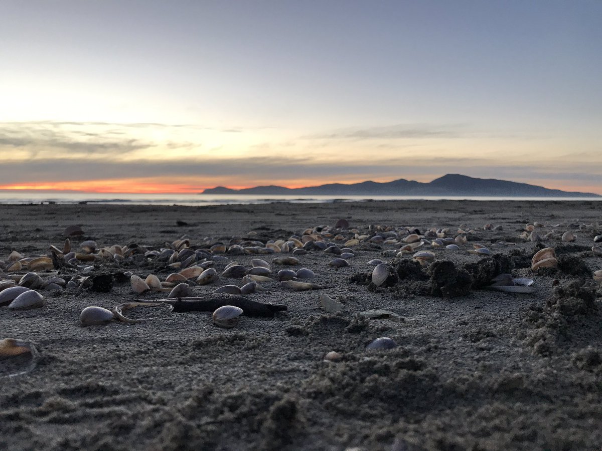 PeopleofNZ's tweet photo. Mood shot tonight. Living in paradise. https://t.co/z7AQZ4BFPd