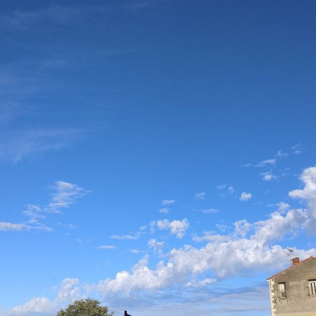 chrisvigneron's tweet photo. Ça se dégrade doucement #Niort #ciel #cielfie #lcdj #lecieldujour #cielo #sky #himmel #bluesky #instasky #instablu�� https://t.co/iJWvSCeUJ6 https://t.co/kxkZM9C9Od