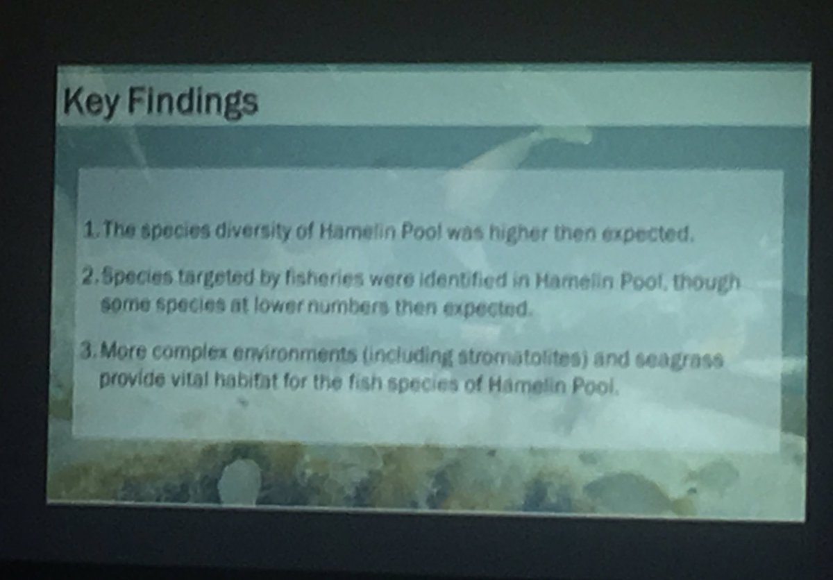 J_Stingemore's tweet photo. 66 fish species found at #HamelinPool - Compared to only eight recorded in 1970s! Via Kelly Campbell during #HamelinScienceFair https://t.co/FcFgBfp8vm