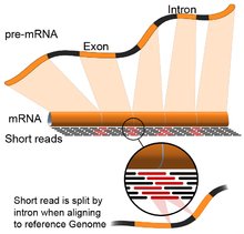 Transcriptomic2's tweet image. RNA-Seq is used to analyze the continually changing cellular transcriptome.