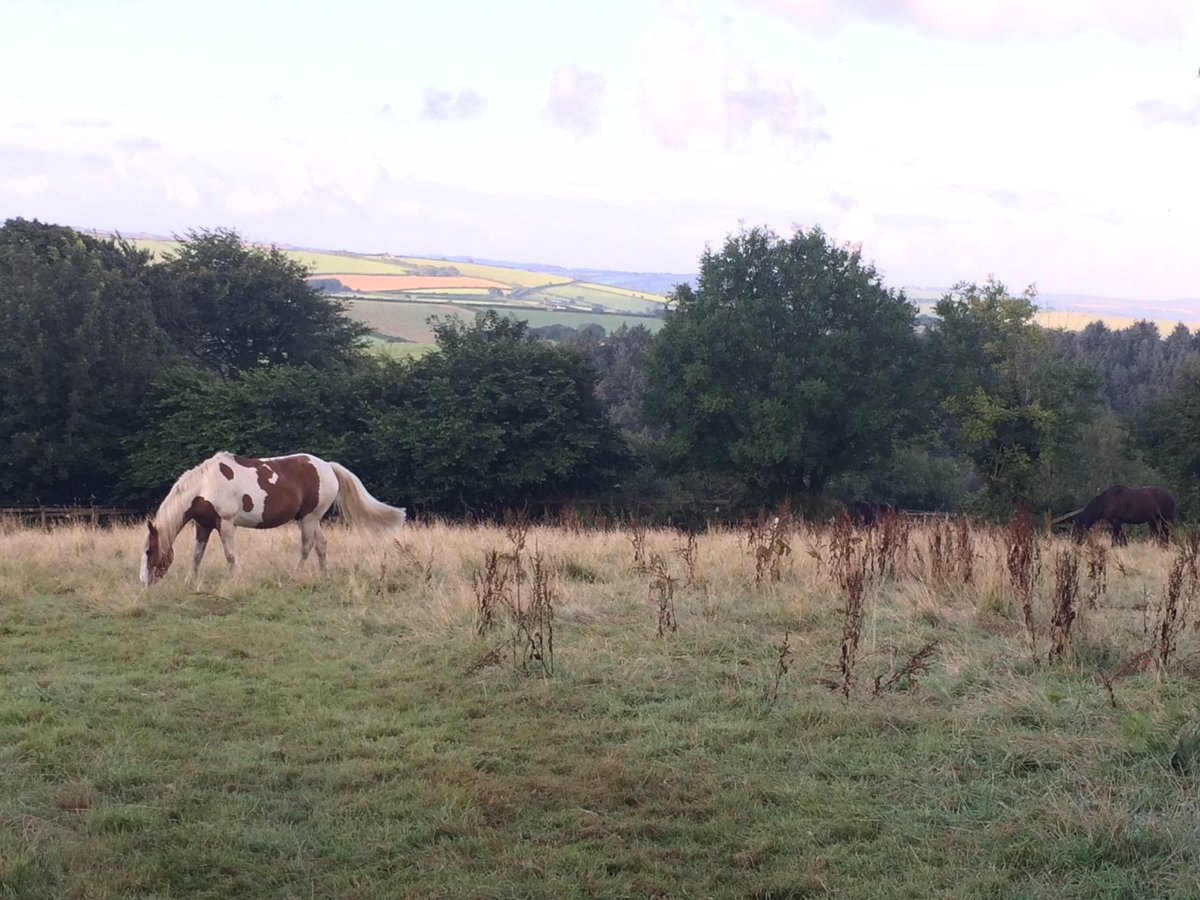 PastorWayTay's tweet photo. Cornwall UK, "If you have run with footmen, and they have wearied you, how can you contend with horses?.. Be strong in the LORD." #CfUK17 https://t.co/dAMUZEnM7P