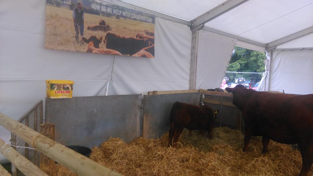 <a href="/Rumenco_ltd/">Rumenco</a> not only a great product but these Lifeline tubs make great water buckets here <a href="/Countryfilelive/">BBC Countryfile Live</a> !!