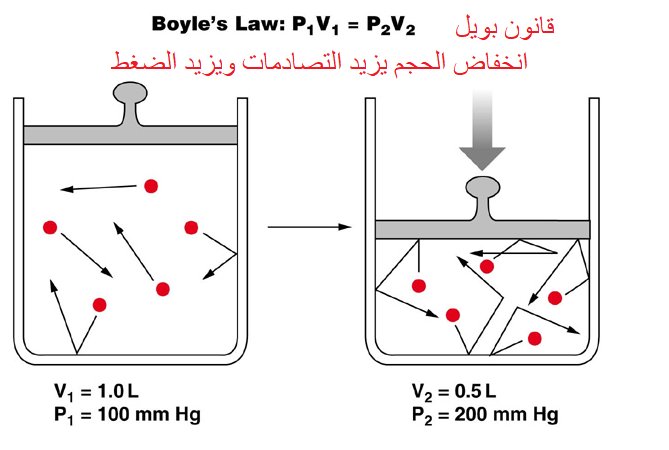 قفص في جميع أنحاء العالم تدريب قانون ضغط الغاز Type Up Com