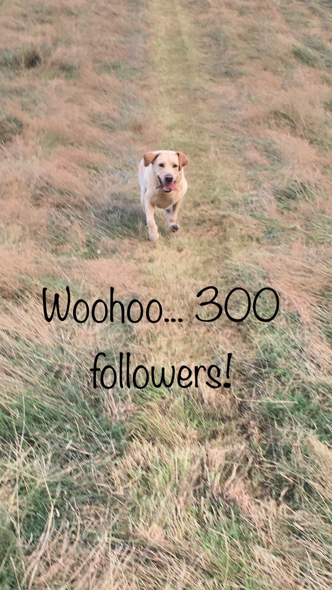 EatonAndJones's tweet photo. Yay, we've reached 300 followers ๐ thanks tweeters! #followus #jewellery #handmadejewellery #diamonds #gemstones #weekendcheer ! https://t.co/3maqhsXIXg