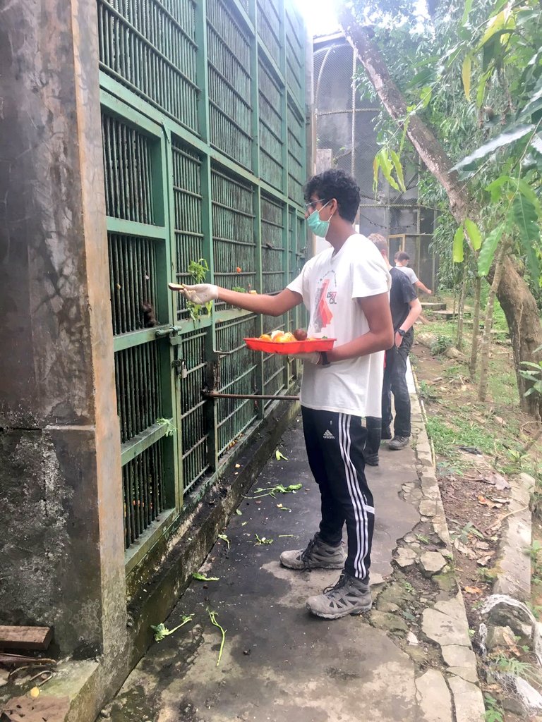 AGSWChallenge17's tweet photo. Everyone has just been getting stuck in and wanting to do as much as they can to help out. https://t.co/jnvNKmO3ot