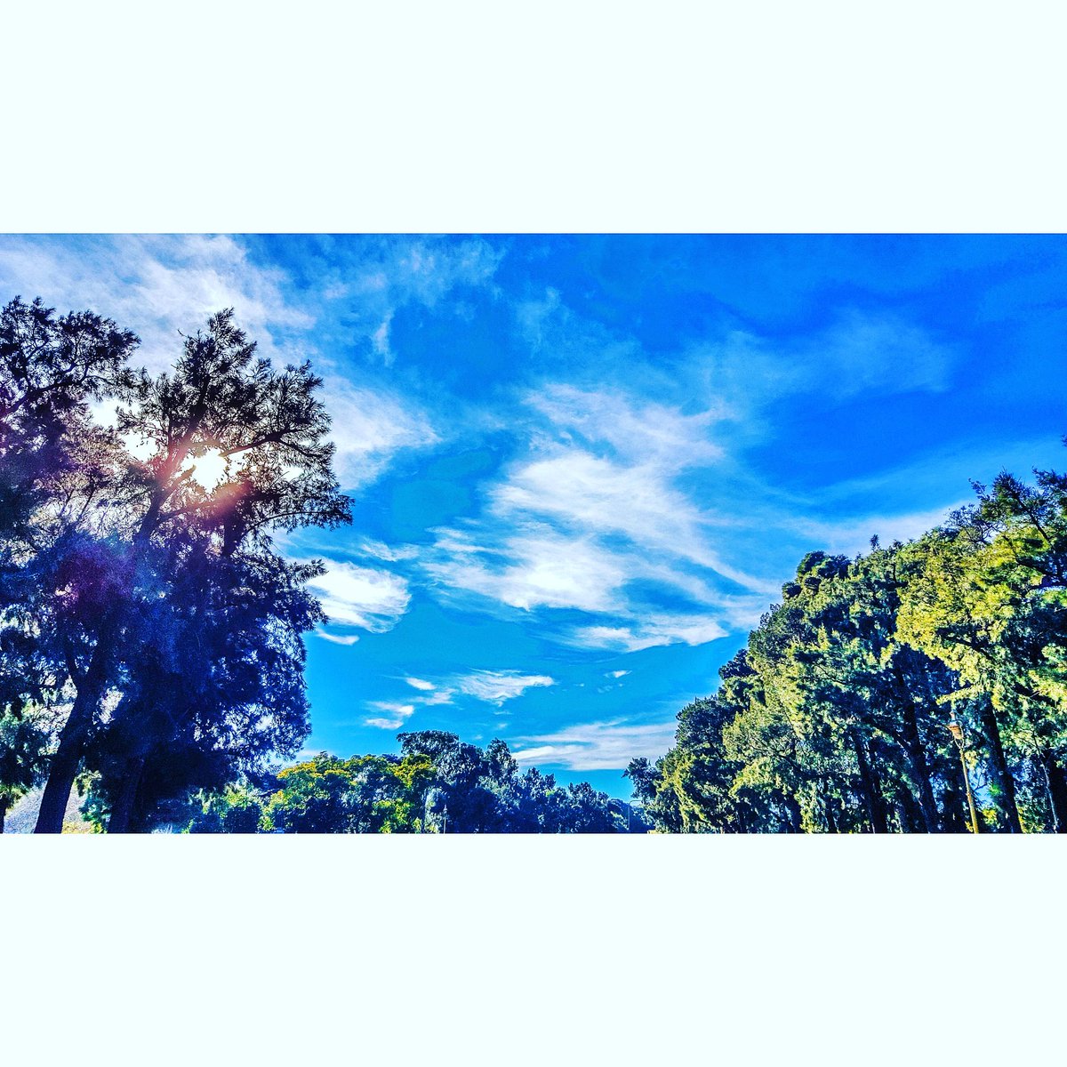 damianbenetucci's tweet image. Elonganding

#postrunning #stretching #park #sky #sunnyday #capture #clouds #buenosaires #city #draw #photooftheday #daylight #mothernature