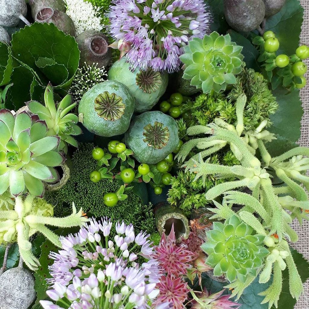 jpmoseley's tweet photo. How wonderful are textured flowers and plants #flowertalk #floristry #flowerarranging #floral #garden #texture #in… https://t.co/Ug1vlU1DkK https://t.co/KFF5nYotb9