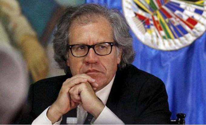 Ver imagen en Twitter