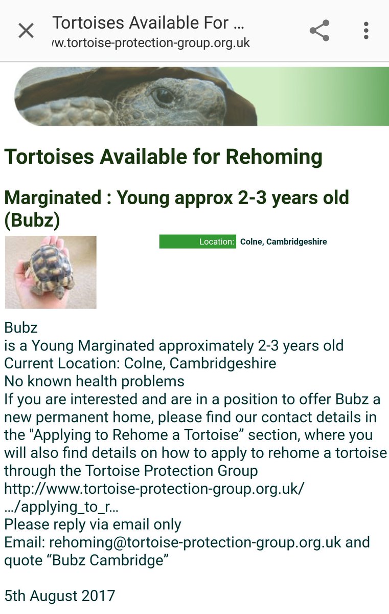 TortProtection's tweet photo. Bubz the #marginated #tortoise needs a new home #colne #Cambridge #cambridgeshire please retweet #AdoptDontShop https://t.co/ooTBR1ZuOi