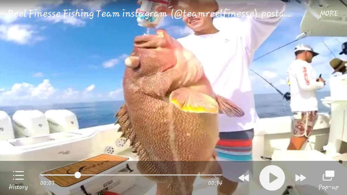 DREandVICKI's tweet photo. @Occupy4Eles @ANNEIAINTHESUN @CNN Connections:
#TeamReelFinesse #AlexKompo #BoBenac #BurnsEsterling #MichaelWenzel #DaltonCulleny #JasonBoyll #CaptKillemAll
#Florida shark https://t.co/IIfMDQbocl
