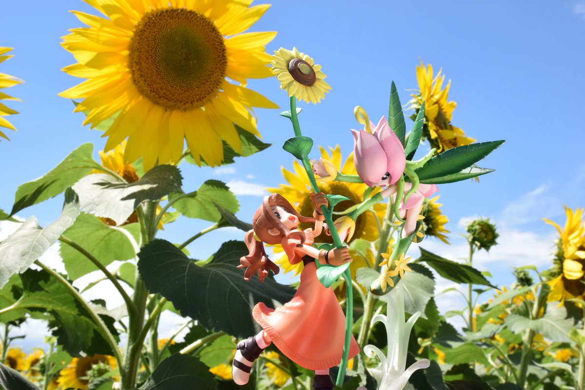 安田⏭ tweet media