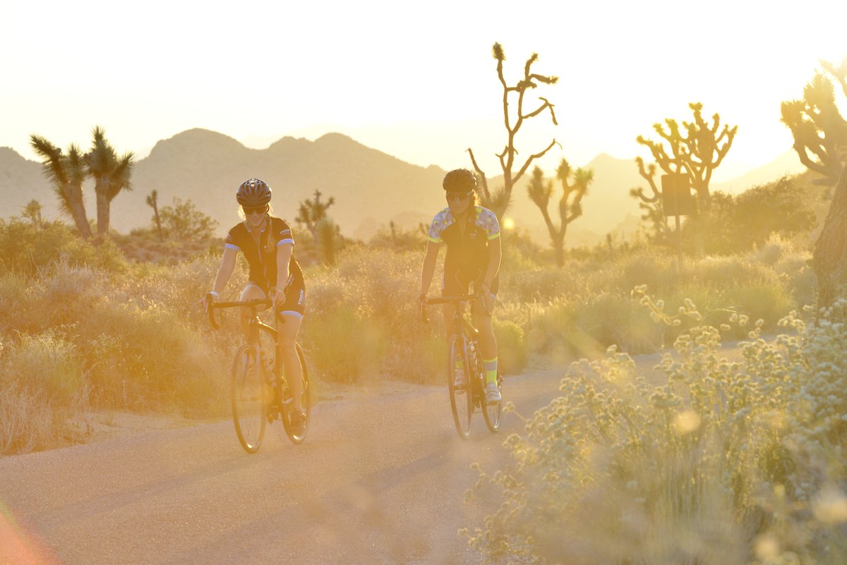 Lidl-Trek tweet media