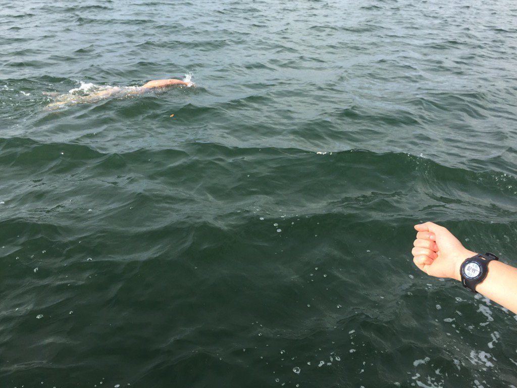 Amy BLS 2017 tweet media