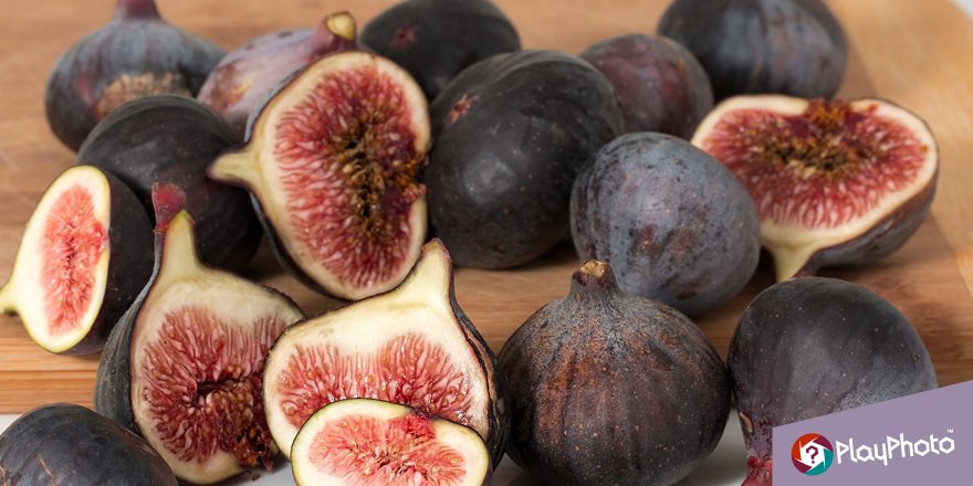 PlayPhotogame's tweet photo. #DidYouKnow 70% of animals in rainforests depend on figs as a food source? Without figs, there would be no jungle! https://t.co/xUk0PfNcN8 https://t.co/jR3OHnAyC5